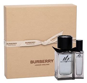 mr burberry trovaprezzi|Mr. Burberry Eau de Toilette .